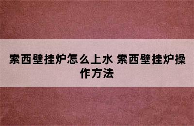 索西壁挂炉怎么上水 索西壁挂炉操作方法